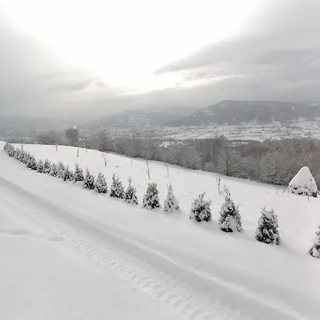 La Viseu de Jos
